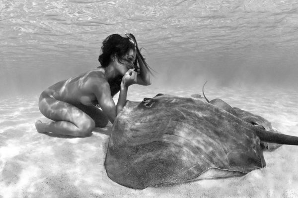 Hello you est une photographie artistique en noir et blanc, sous-marine de Christian Coulombe, en édition numérotée et en exclusivité vente chez Myovahe.