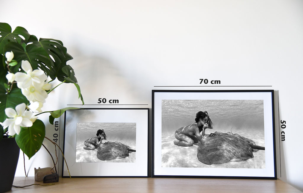 Présentation du petit format 40 x 50 cm ainsi que du format affiche 50 x 70 cm.