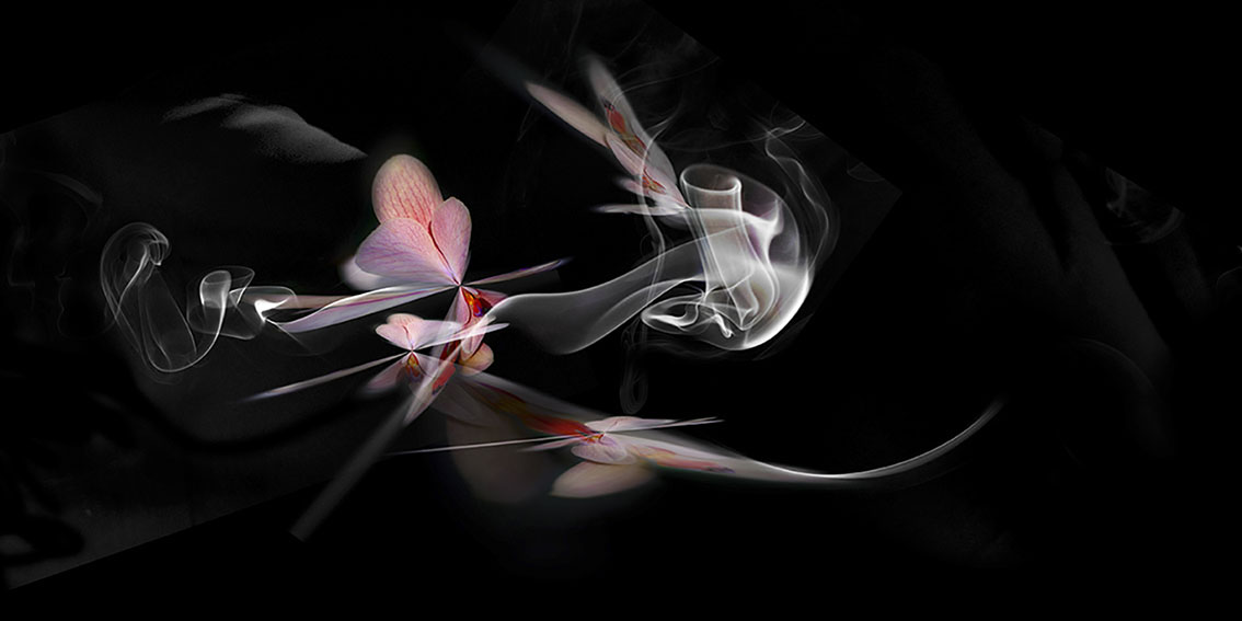 Au temps des cerises du Japon, création graphique de Cécile Flipo, en édition limitée et numérotée et en exclusivité vente chez Myovahe.