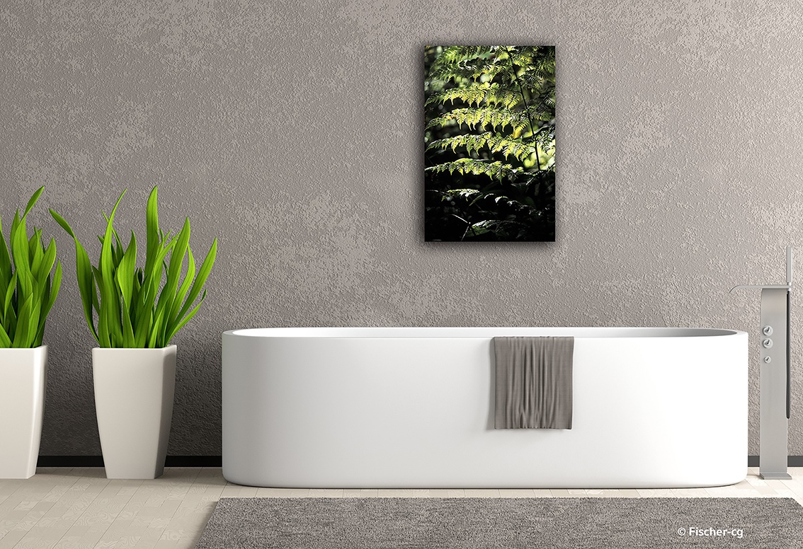 Dans le contre-jour d'une lumière matinale, en exclusivité vente chez MyOvahe