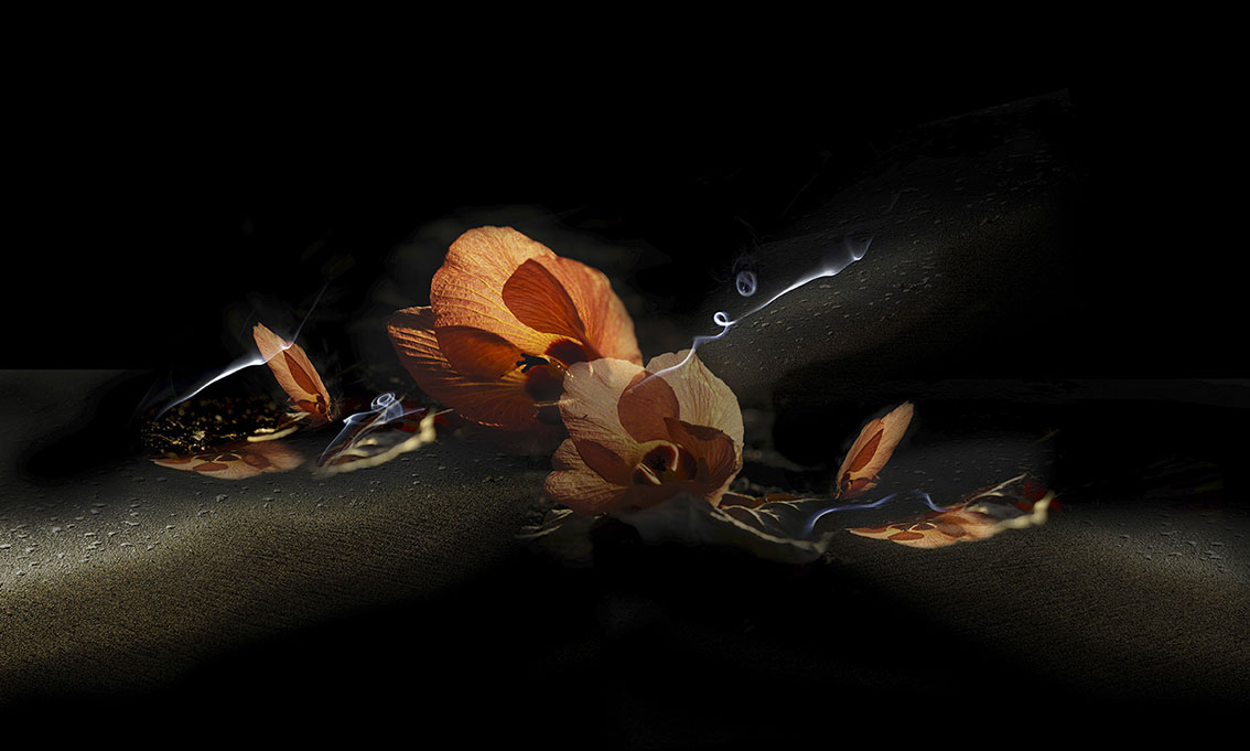 Dans le couchant des fleurs de purau de Cécile Flipo Dans le couchant des fleurs de purau, création graphique de Cécile Flipo, en édition limitée et numérotée et en exclusivité vente chez Myovahe.