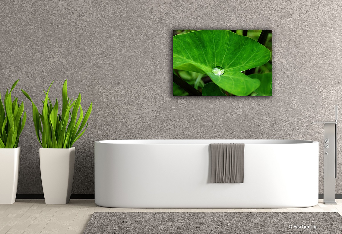 Dans le creux du taro finition Galerie d'Art en édition limitée et numérotée, remis avec son certificat d'authenticité Dans le creux du taro, photographie de Cécile Flipo, en édition numérotée et en exclusivité vente chez Myovahe.