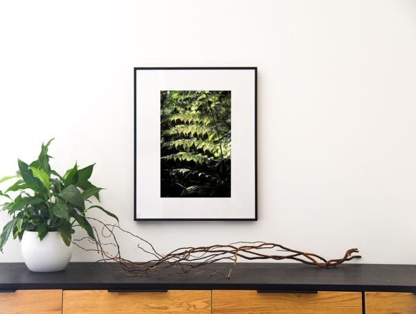 Dans le contrejour d'une lumière matinale est une photographie de Cécile Flipo, en édition numérotée et en exclusivité vente chez Myovahe.