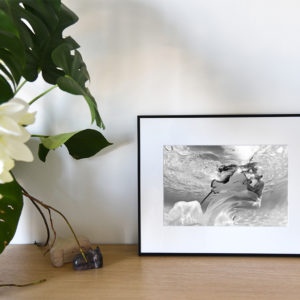 Gimme a Hug version noir et blanc est une photographie artistique sous-marine de Christian Coulombe, en édition limitée, numérotée et en exclusivité vente chez Myovahe.