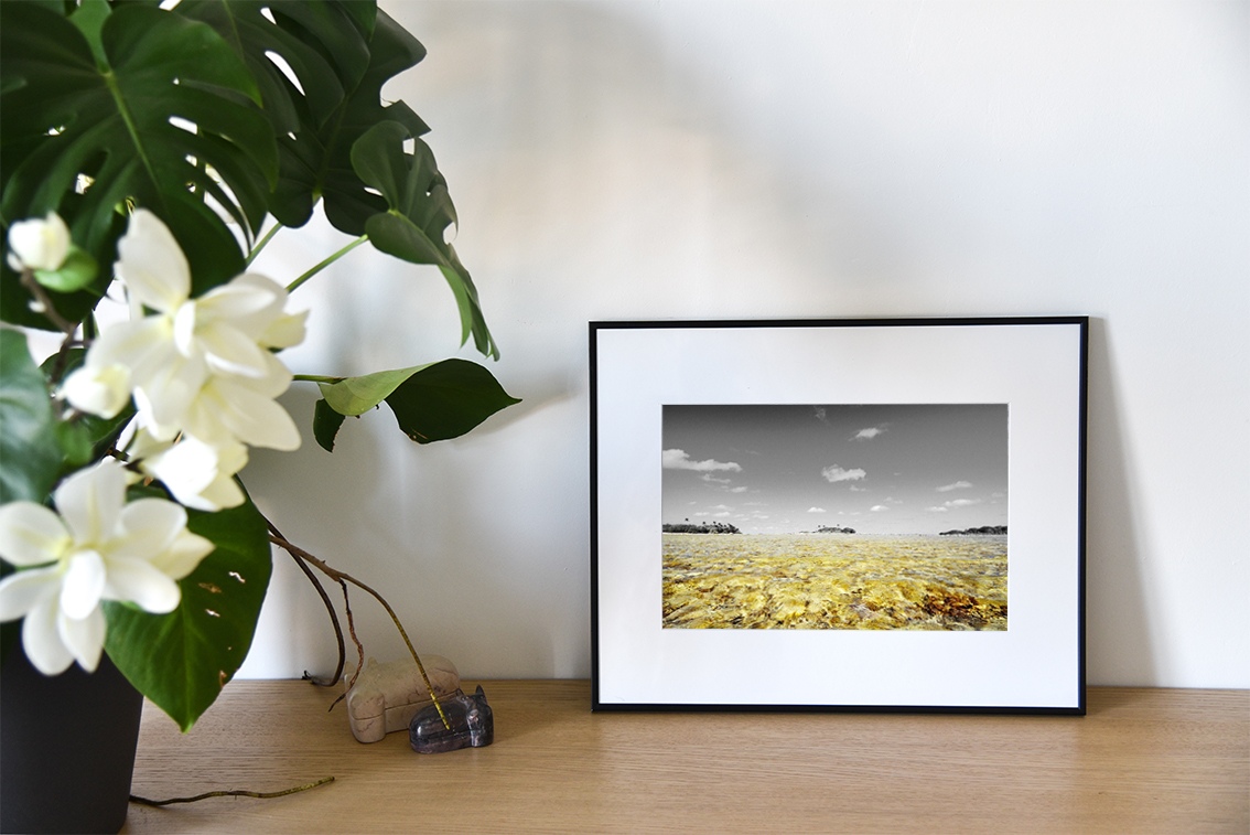 Or et lumière est une photographie de Cécile Flipo, en édition numérotée et en exclusivité vente chez Myovahe.