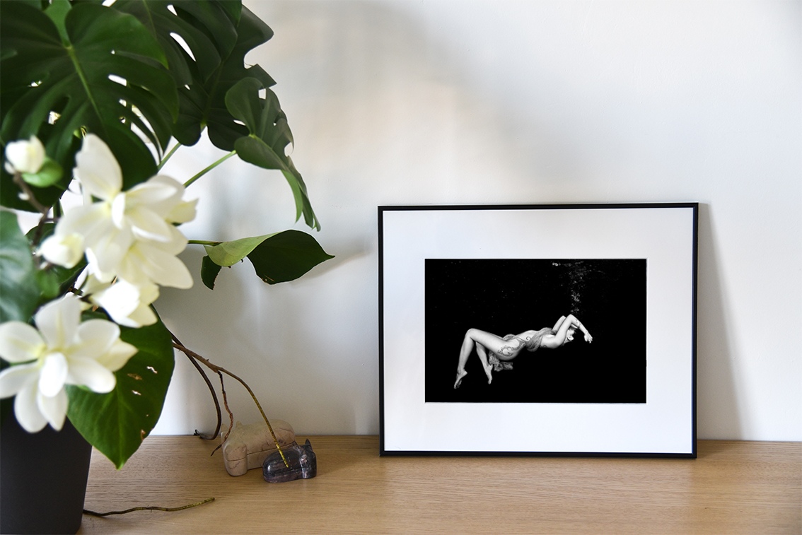 Silver Star Maohi est une photographie artistique sous-marine de Christian Coulombe, en édition numérotée et en exclusivité vente chez Myovahe.