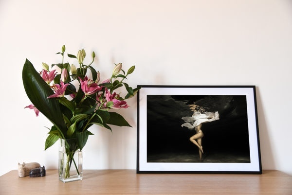 Solo est une photographie artistique sous-marine de Christian Coulombe, en édition limitée et en exclusivité vente chez Myovahe.