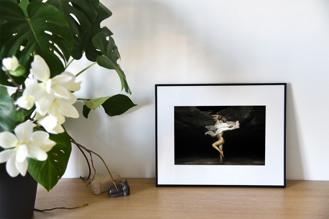 Solo est une photographie artistique sous-marine de Christian Coulombe, en édition limitée et en exclusivité vente chez Myovahe.