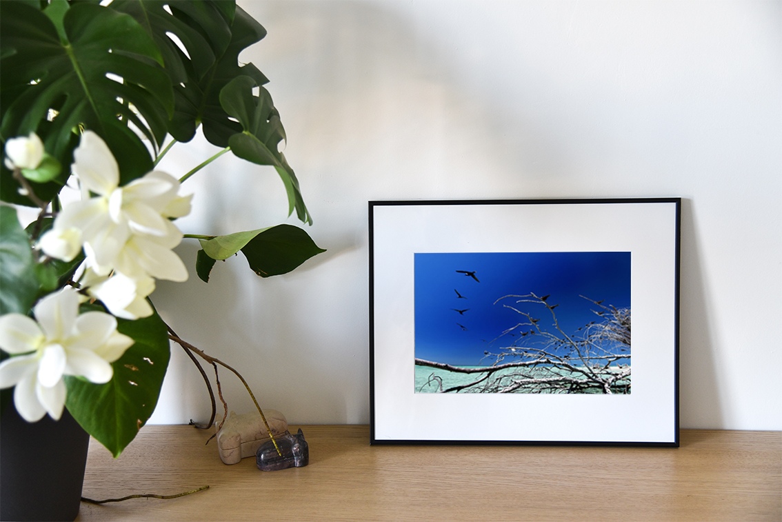 Sur la branche est une photographie de Cécile Flipo, en édition numérotée et en exclusivité vente chez Myovahe.