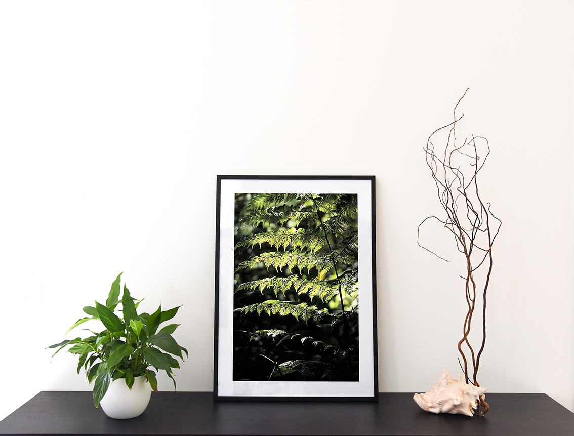 Dans le contre-jour d'une lumière matinale, une photographie de Cecile Flipo, en édition numérotée et en exclusivité vente chez Myovahe.