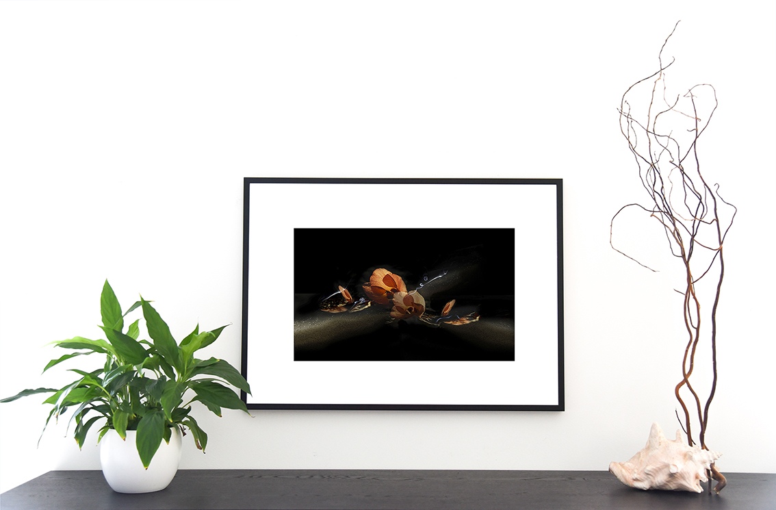 Dans le couchant des fleurs de purau est une création graphique à partir de différentes photographie de Cecile Flipo, en exclusivité vente chez Myovahe.