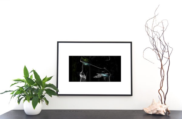 Désir est une création graphique à partir de différentes photographie de Cecile Flipo, en exclusivité vente chez Myovahe.