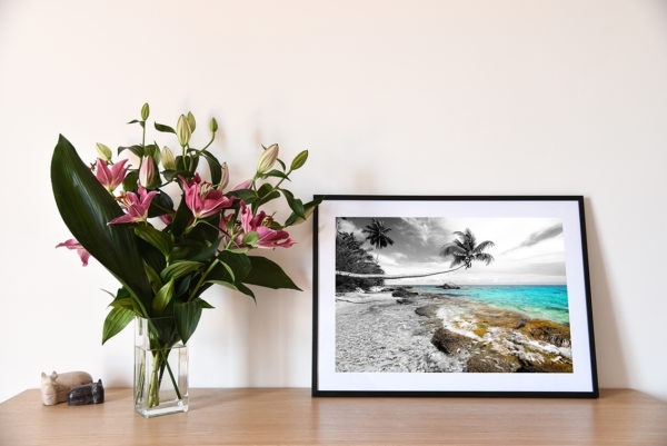 Le cocotier coquet est une photographie de Cécile Flipo, en édition limitée pour les grands formats, numérotée et en exclusivité vente chez Myovahe.