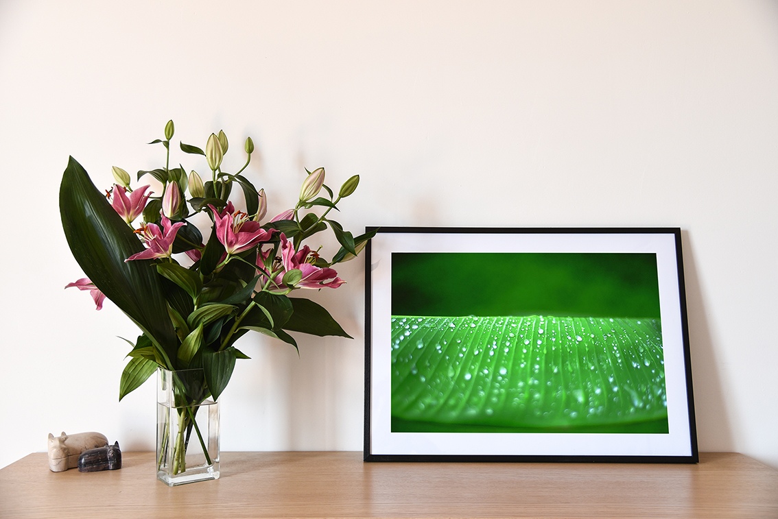 Perles d'eau sur feuille de bananier en exclusivité vente chez MyOvahe