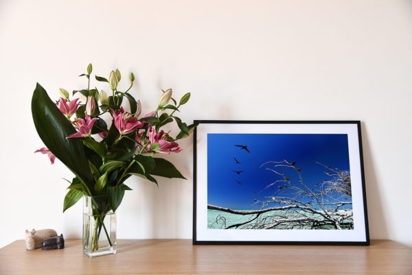 Sur la branche est une photographie de Cécile Flipo en exclusivité vente chez MyOvahe