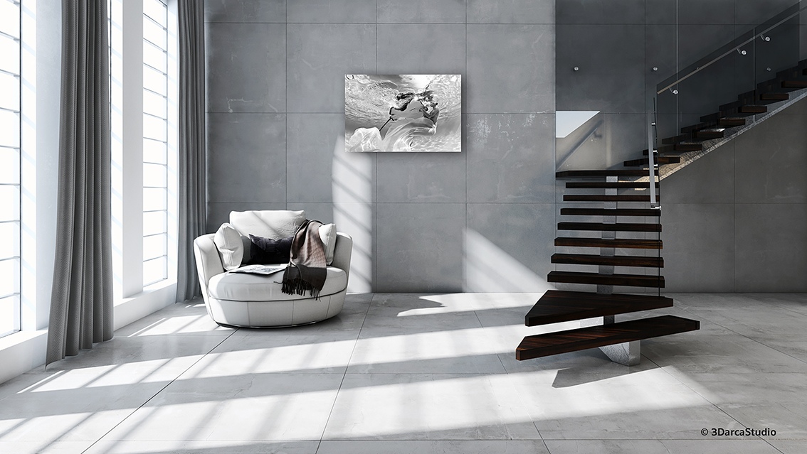 Gimme a hug version noir et blanc est une photographie artistique sous-marine de Christian Coulombe, en édition limitée et en exclusivité vente chez Myovahe.