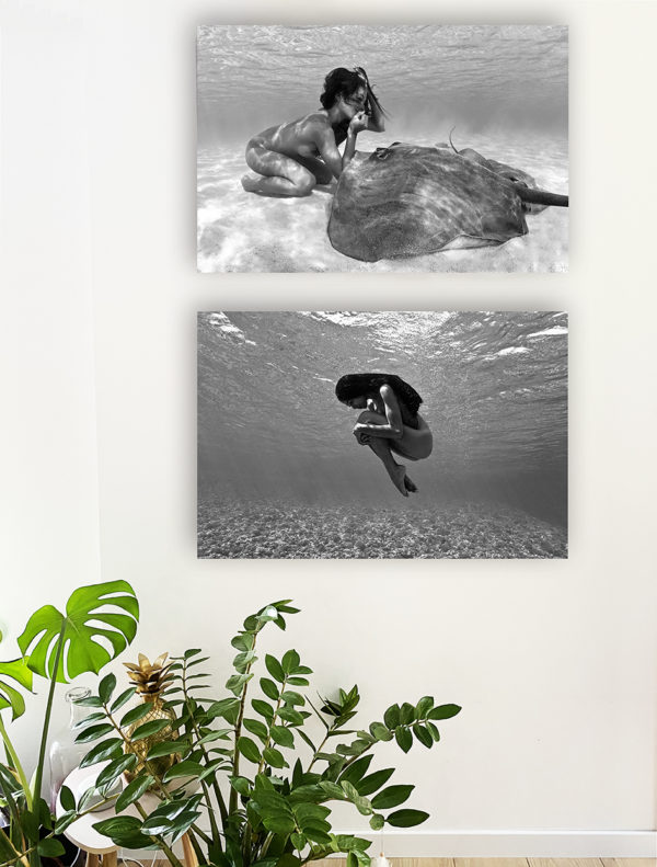 Hello you et Ocean fetus, grand format finition galerie d art en exclusivité chez Myovahe