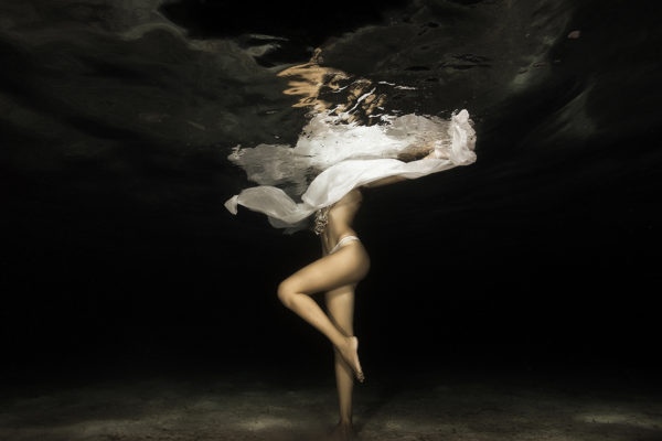 Solo est le titre d'une photographie couleur artistique de Christian Coulombe, spécialisé dans la photographie sous marine.